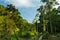 Unidentified tourist walking through the amazon