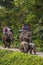 Unidentified tourists riding the elepahant during safari in Jaldapara National Park, Assam, India.