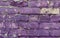 A uniform layer of purple coats a brick wall, the monochrome palette punctuated by subtle textures and the passage of