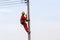 Uniformed electricians work on high-rise electricity poles along with safety equipment