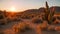 An uninterrupted shot of the sun setting over a desert landscape, featuring a cactus in the foreground, A serene desert scene at