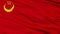 Union Of Islamic Soviet Republics Flag Closeup Seamless Loop