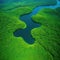 Unique aerial view of a winding river cutting through a vibrant green save the planet Enviroment