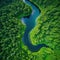 Unique aerial view of a winding river cutting through a vibrant green save the planet Enviroment