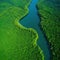 Unique aerial view of a winding river cutting through a vibrant green save the planet Enviroment