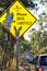 Unique Australian wildlife road sign of koala