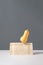 Unique balancing butternut squash still life composition. Abstract travertine sculpture with raw produce on a grey background.