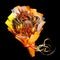 Unique bouquet consisting of large crab and boiled crawfish wrapped in orange paper on a black background