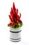 Unique bouquet consisting of paprika, broccoli, apples and other vegetables and fruits as a gift on a white background