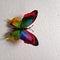 Unique butterfly images with rich colors