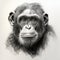 Unique Character Design: Chimpanzee Portrait With Solarization Effect