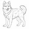 Unique Character Design: Coloring Page Of American Husky