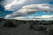 Unique cloud formations just east of the Sierra Nevada