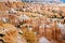 Unique and colorful hoodoo rock formations in the Bryce Canyon