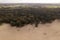 Unique Dutch natural phenomenon of sandbank drift plain seen from above.