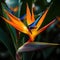 A unique and exotic bird of paradise with vibrant orange and blue petals, generative AI