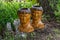 Unique flower pots in the shape of human heads