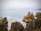 The unique formations of the Pancake rocks.