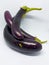 Unique fresh of purple eggplant