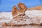 Unique geological salt and clay rock formation formed by natural erosion in Valle de la Luna in San Pedro de Atacama, Chile.