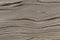 Unique gray wood design texture. Natural background closeup.