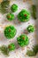 Unique green cupcakes made of sprinkles and whipped cream
