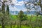 Unique green landscape in Volterra Valley, Tuscany, Italy. Scenic dramatic sky and sunset light over cultivated hill range and