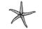 Unique Hand-drawn Starfish Vector