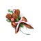 Unique handmade decoration for a gift in the form of three brown flowers from paper and spruce twigs on white background