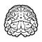 Unique human brain sign