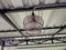 unique lamp hanger with bird cage motif