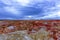 Unique landforms created by years of wind and water erosion at Wucaitan Five Colored Hill aka Rainbow Beachs