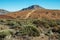 Unique landscape of Teide National Park and view of Teide Volcano peak. Tenerife Island