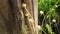 Unique log texture and gorgeous wildflowers