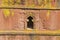 Unique monolithic rock-hewn Church of St. George, UNESCO World heritage, Lalibela, Ethiopia.