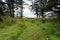 A unique nature path carved out of the grass with shells along the edges, surrounded by forest and leads towards the ocean