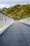 Unique Perspective of an Empty Foot Bridge with Tree Line Backgr