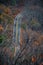 Unique perspective of mountain road with fall covered trees and leaves