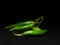 Unique picture of green chillies on dark background