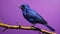 Unique Purple Martin Acrylic Painting With Iridescent Yellow Shining