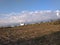 A unique rare seasonal view of a rural agricultural farm of partially cut sugarcanes