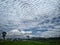 Unique rice fields and skies