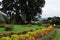 Unique Royal Botanical gardens in Peradeniya is considered as one of the best in Asia