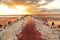 Unique salt lake with pink water and salt at sunset. Rows of wooden columns covered with salt crystals.