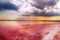 Unique salt lake with pink water and salt at sunset. Rows of wooden columns covered with salt crystals.