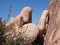 Unique stones in joshua trees natiional park