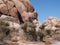 Unique stones in joshua trees natiional park