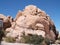 Unique stones in joshua trees natiional park