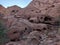 Unique textured rock with holes at Valley of Fire, Nevada