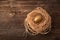 Unique and valuable golden egg with nest on wooden background.